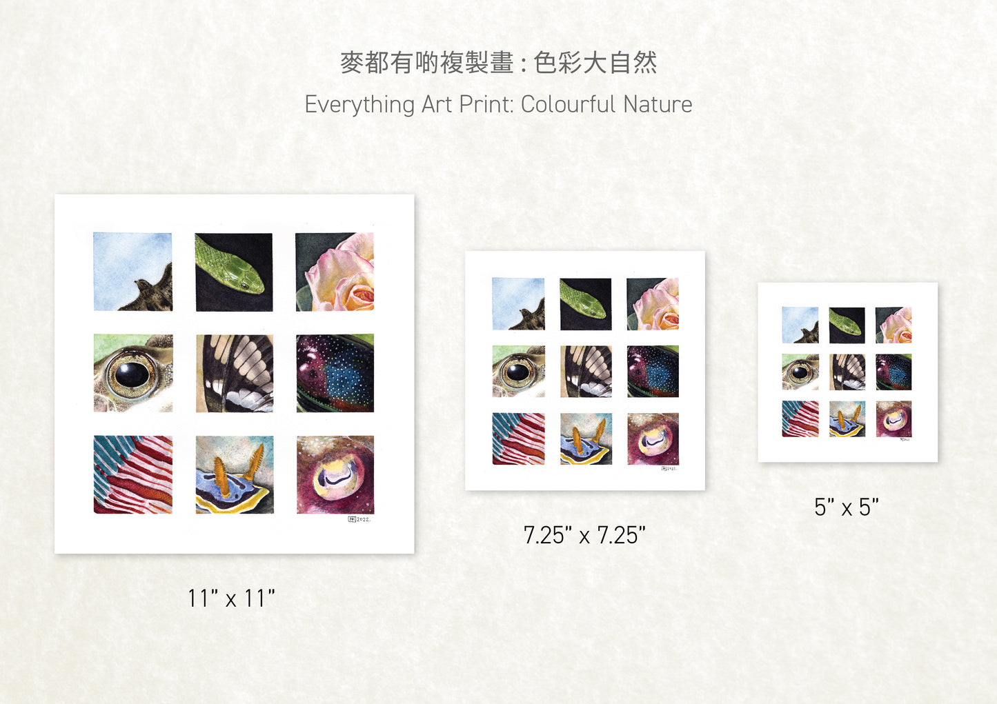 麥都有啲印刷畫: 色彩大自然 Everything Art Print: Colourful Nature