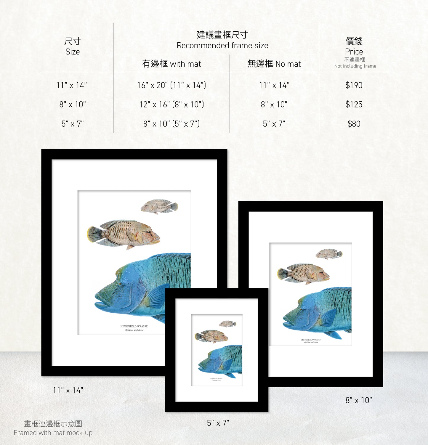 香港生態印刷畫: 蘇眉/曲紋唇魚 HK Wildlife Art Print: Humphead Wrasse