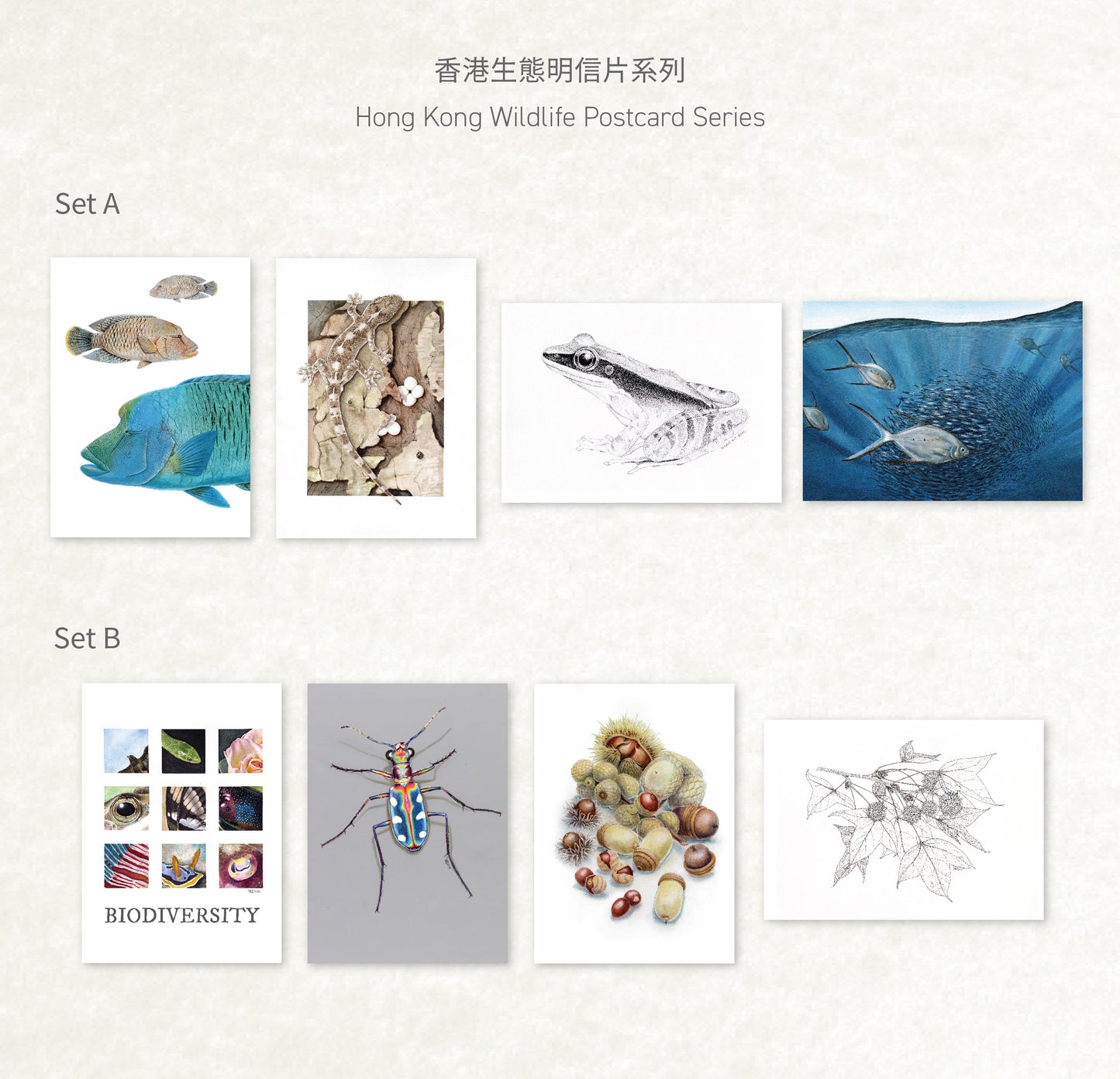 香港生態明信片(一套四款) HK Wildlife Postcard (Set of Four)